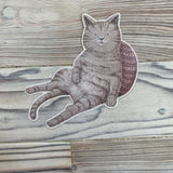 Vegan Sticker Collection illustrated By Akari Watanabe