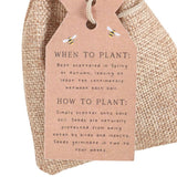 Garden Seed Balls in a Bag