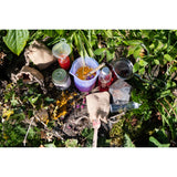 The Den Kit Company - The NEW Potion Making Kit