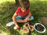 The Den Kit Company - The Make a Pizza for the Birds Kit
