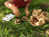 The Den Kit Company - The Make a Pizza for the Birds Kit