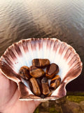 Large Tigers Eye
