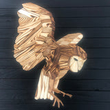 Night Owl Geometeic Wooden Wall Hanging