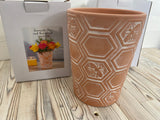 Terracotta Bee Honeycomb Plant Pot