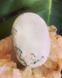 moss agate pebble crystal stone