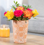 Terracotta Bee Honeycomb Plant Pot