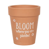 Bloom Where You Are Planted Terracotta Plant Pot